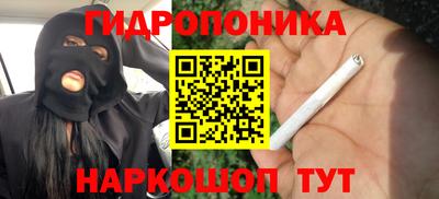 гидра Можга