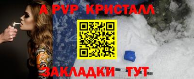 гидра Можга