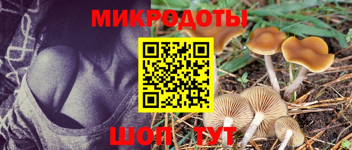 Ухта  Псилоцибиновые грибы Psilocybine cubensis  Вход с VPN 