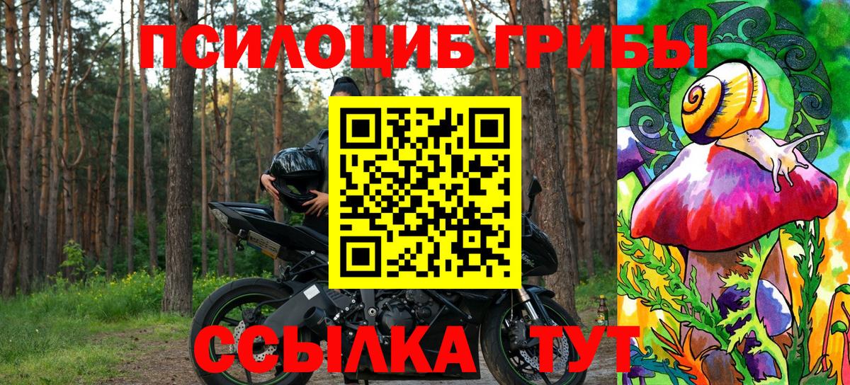 Галлюциногенные грибы Psilocybine cubensis Ухта